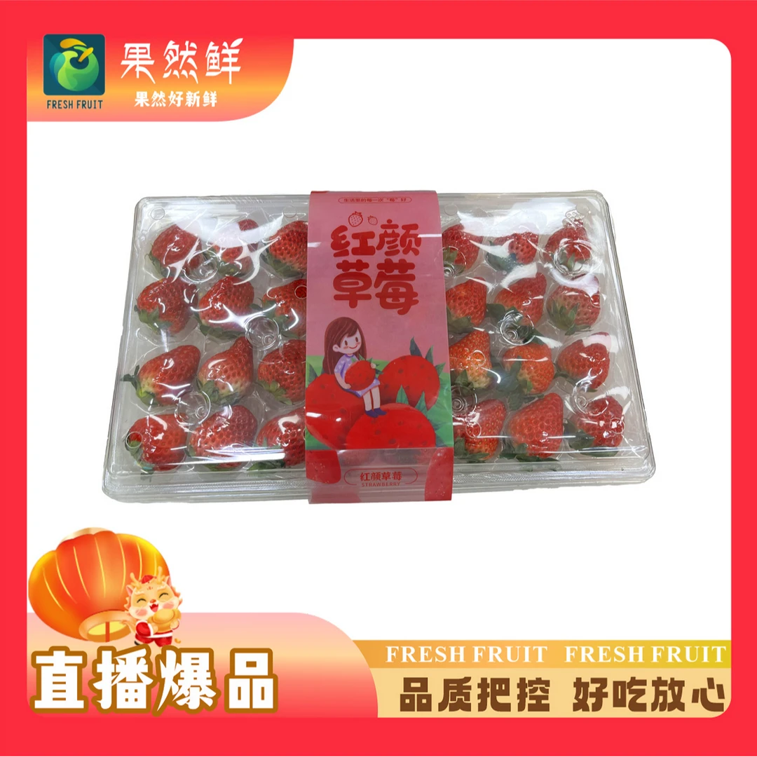 【2盒装】丹东红颜草莓500g水晶盒-2盒99红颜