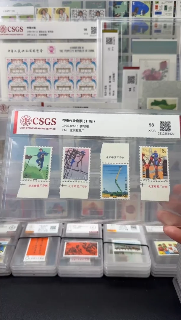 T16 带电作业（厂铭）评级-98分XF