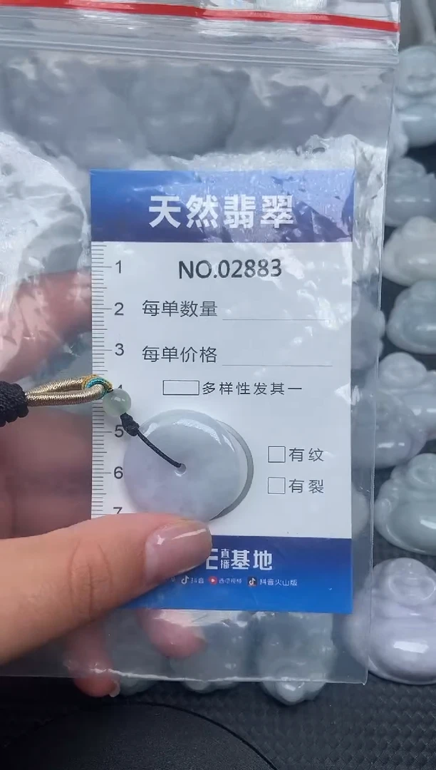 颈饰未镶嵌翡翠纯天然A货翡翠2883