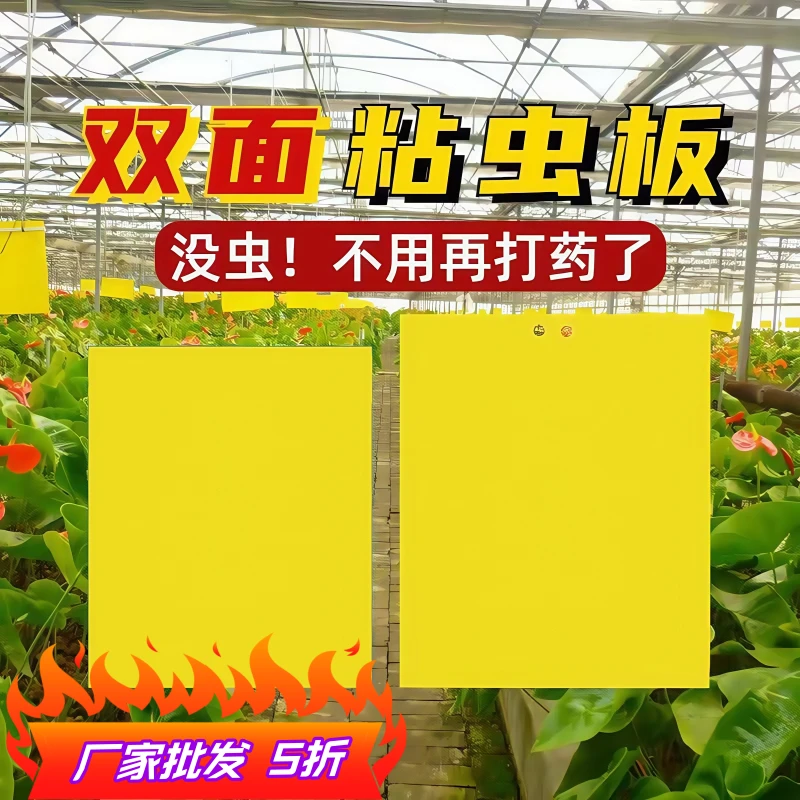 粘虫板黄板双面小黑飞果蝇诱捕器大棚专用诱虫板贴纸农用家用花园