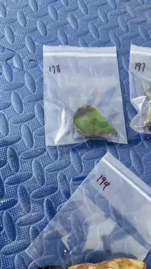【闪购商品】翡翠颈饰未镶嵌198天然翡翠