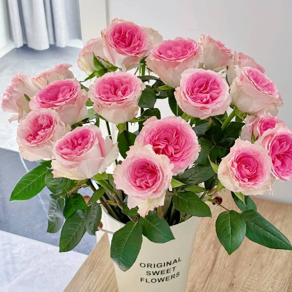【盼盼鲜花】洛神玫瑰 一单陆运/两单升级冷链 云南鲜花基地发