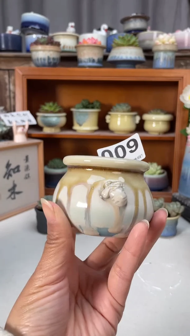 瓷片009知木小芳花盆