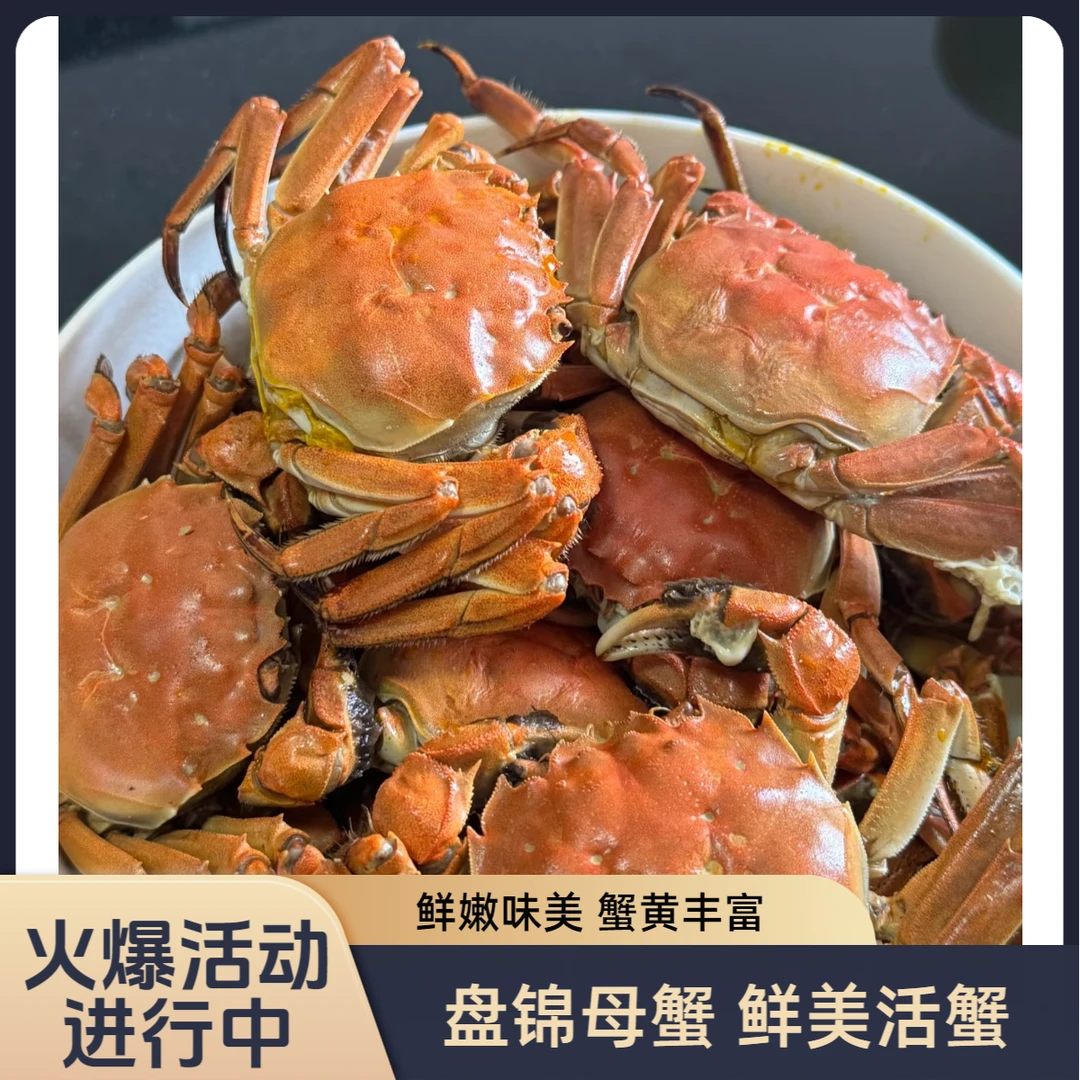【尊享送礼】盘锦河蟹母蟹顺丰速达单只1.3~1.6两17只到手2.5斤左右