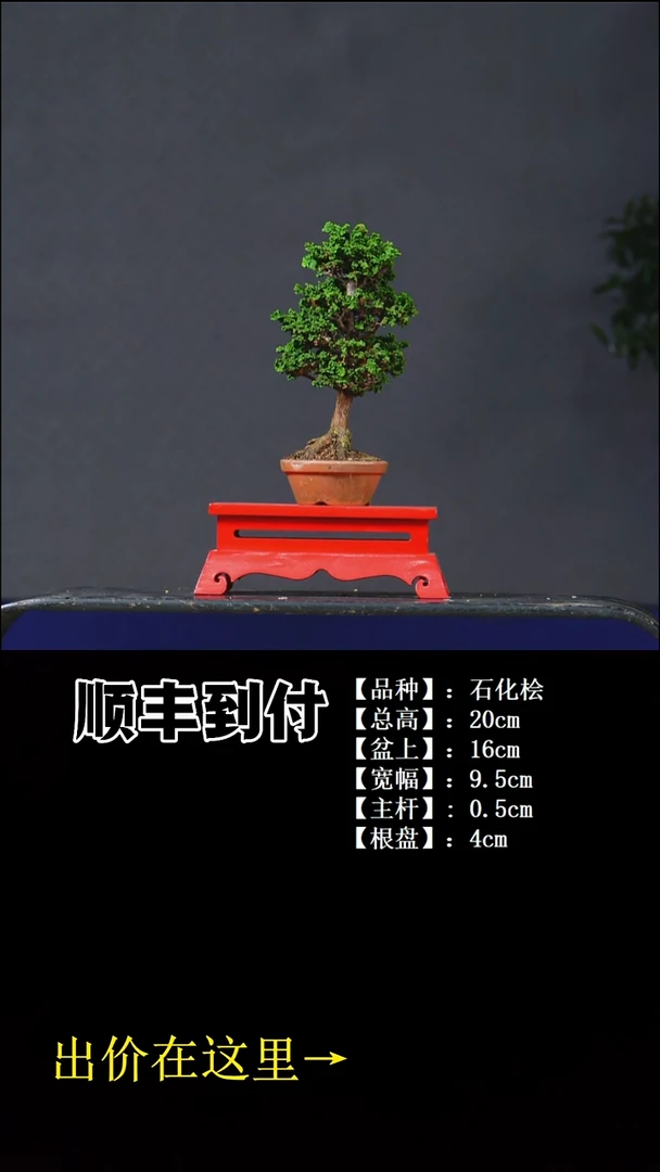 以实际为准石化桧bubaoyou