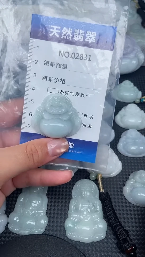 颈饰未镶嵌翡翠纯天然A货翡翠2831