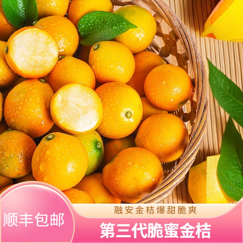 融安金桔融安金桔脆蜜金桔产地直发纯甜果园直发福利顺丰