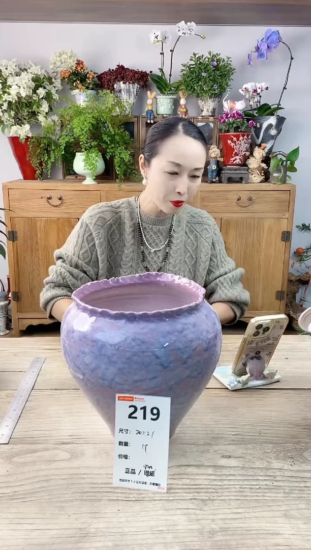 小玩子花盆直播编号219