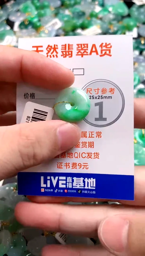 颈饰未镶嵌翡翠0885549503