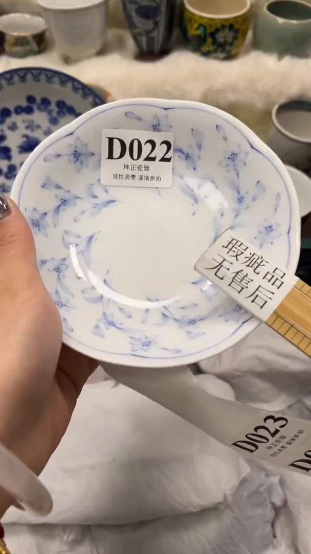 【闪购商品】瓷片          D022