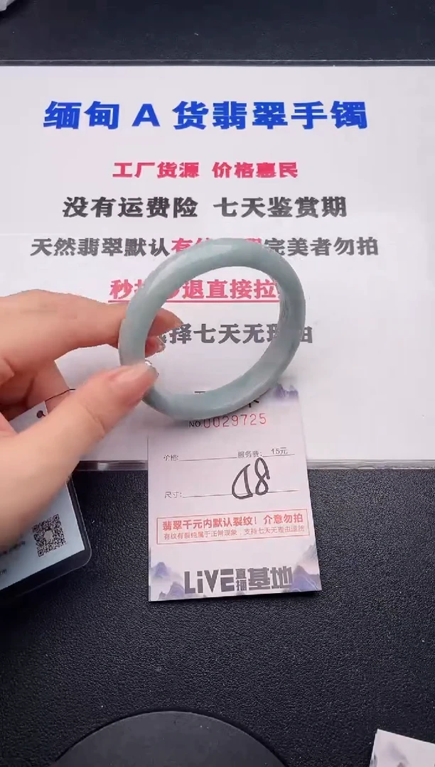 未镶嵌手镯翡翠25