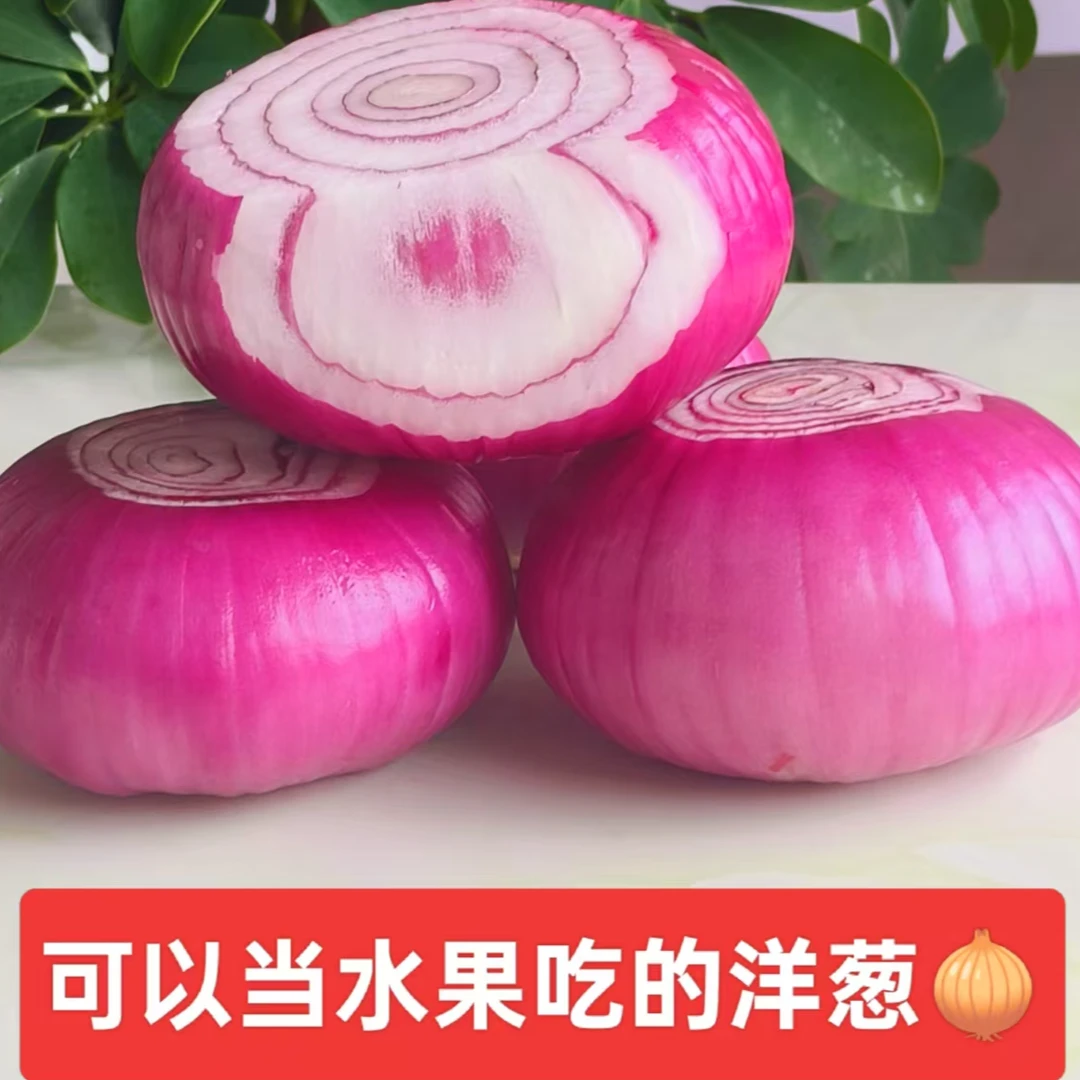 2025年新鲜水果紫红皮扁洋葱脆甜多汁可生吃5斤装（坏果包赔）
