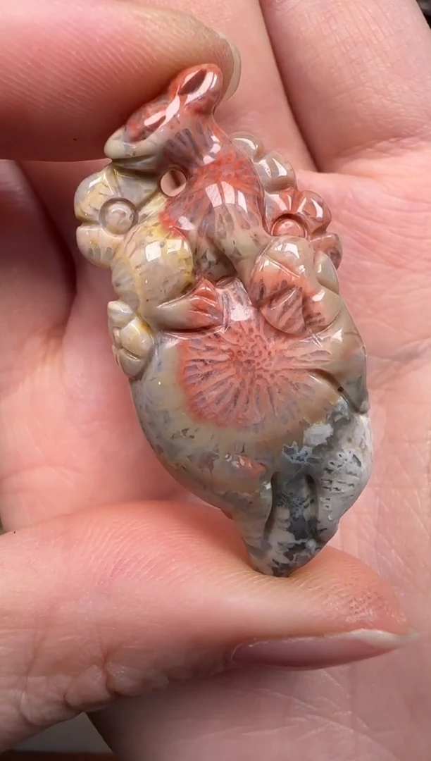 硅化珊瑚（珊瑚玉）未镶嵌颈饰737