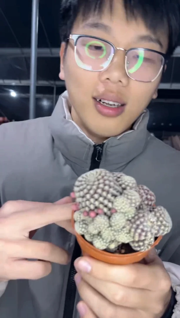 【闪购商品】红宝石