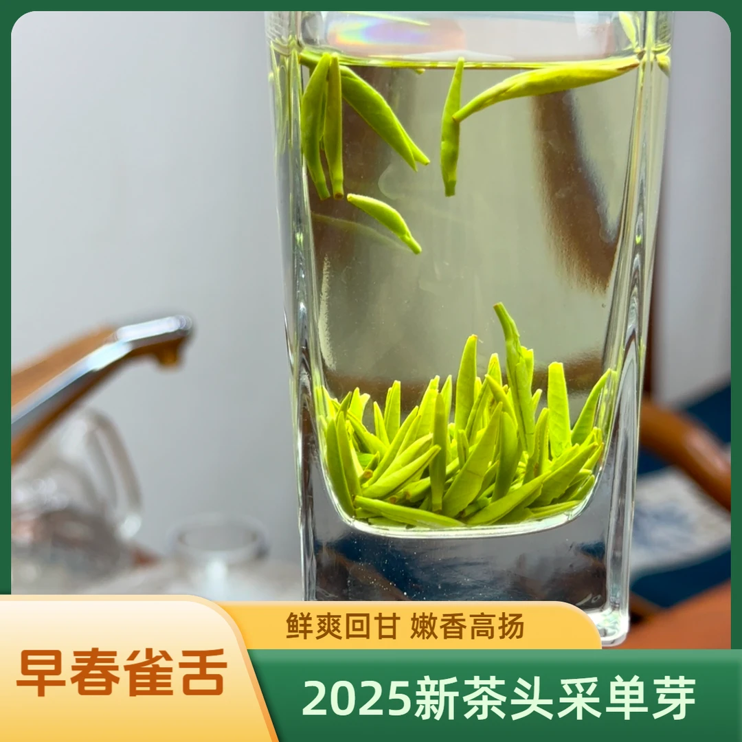 2025新茶「早春雀舌」头春头采单芽绿茶