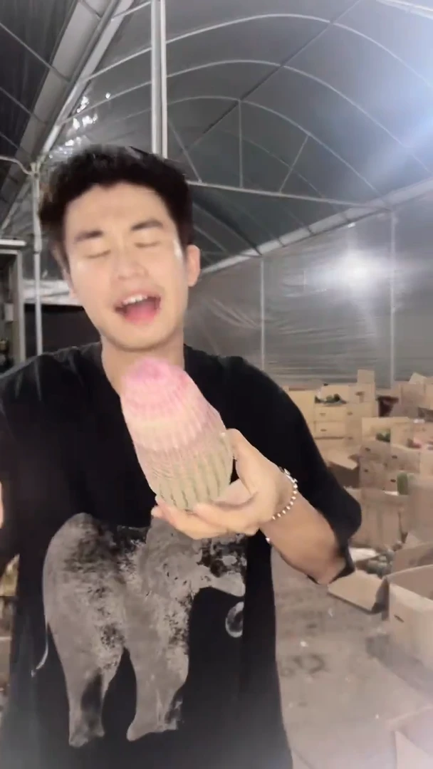 大单头 红太阳【无根】