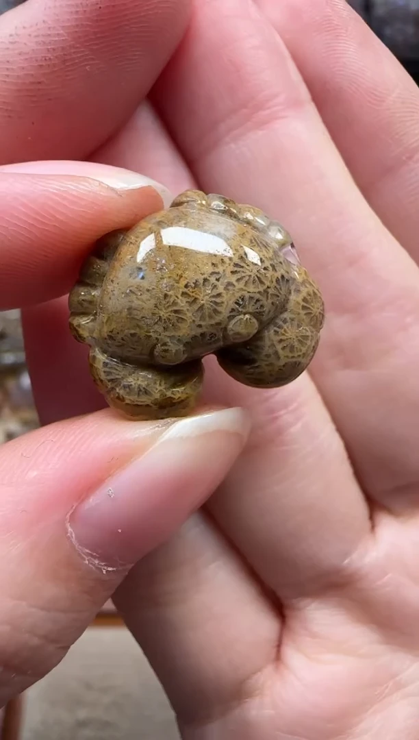 颈饰未镶嵌硅化珊瑚（珊瑚玉）760