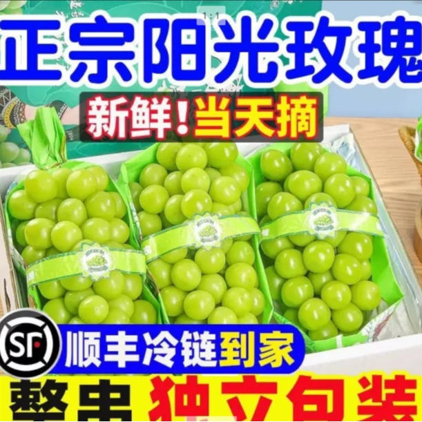 【专享次日达】新鲜采摘精品阳光玫瑰晴王葡萄青提多仓发货顺丰申通上门今日发明日达云南省