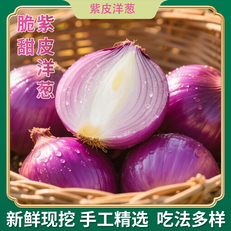 2025新鲜现挖紫皮洋葱炒菜凉拌时令蔬菜