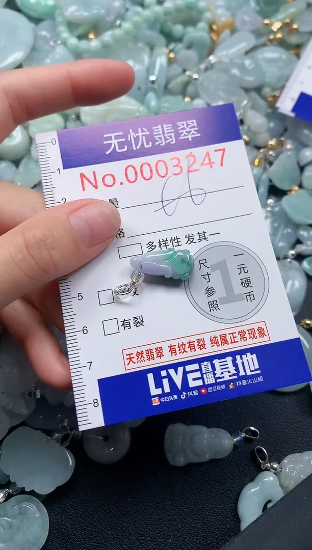 颈饰未镶嵌翡翠3247