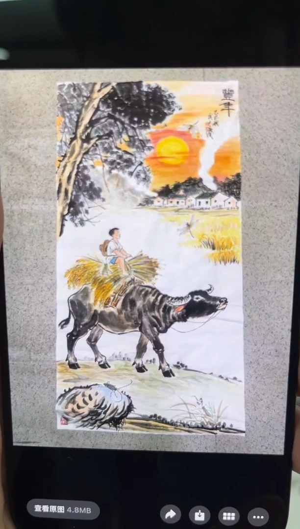 国画白*光武天庆国画一幅8平尺