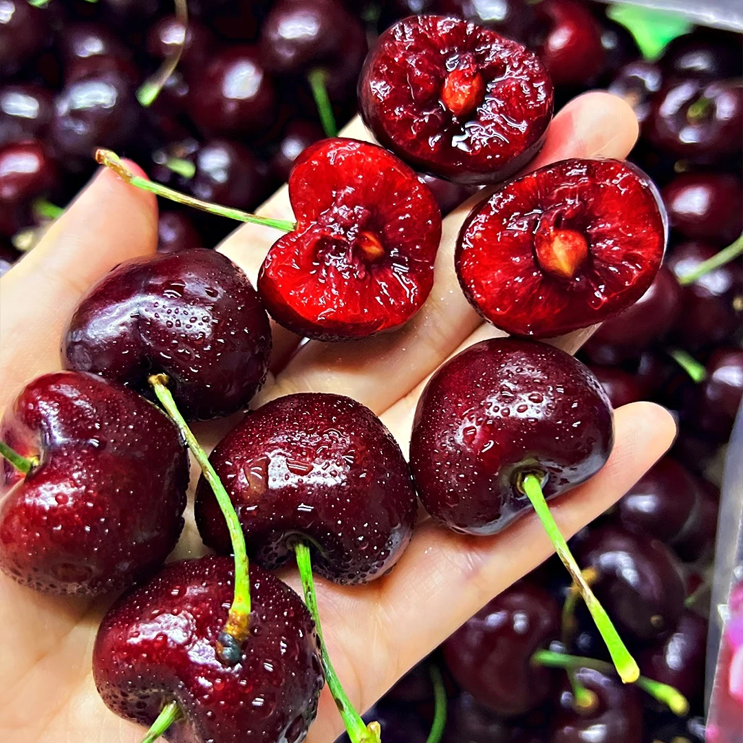 【顺丰包邮】智利海运车厘子桑提娜2J 5斤装 内附果径卡