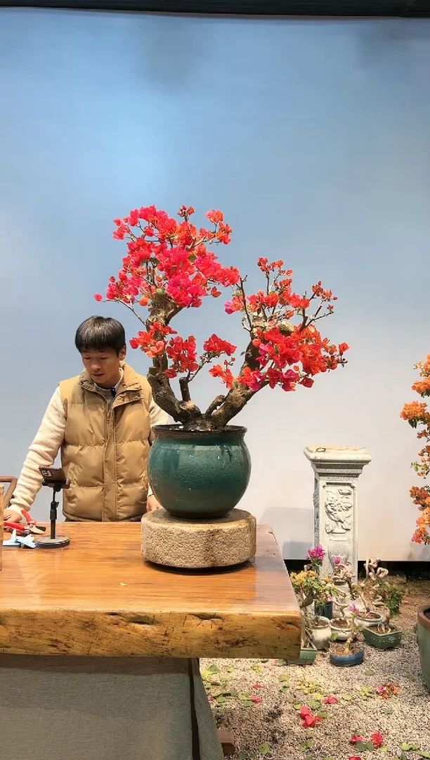 【闪购商品】AA903