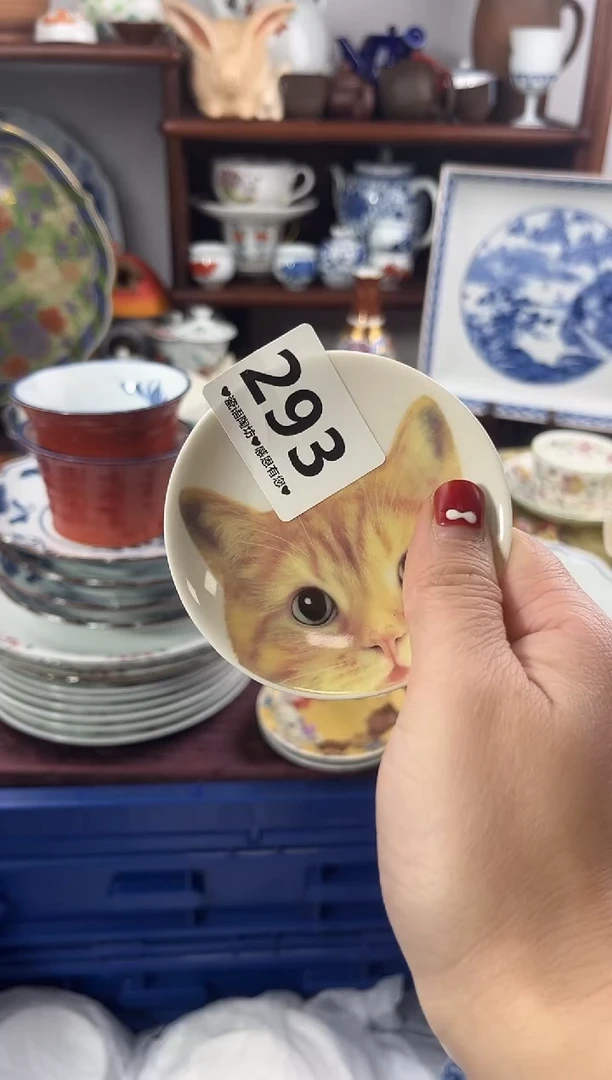 【闪购商品】瓷片293............