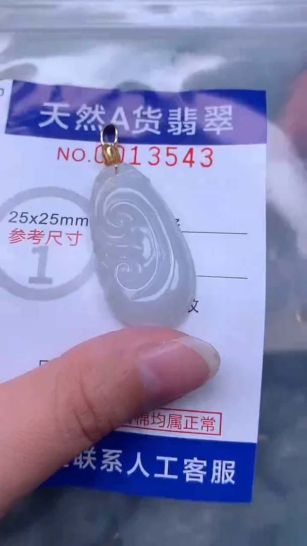 翡翠未镶嵌吊坠(不含链)1