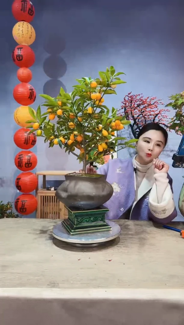 【闪购商品】盆景脆皮金桔
