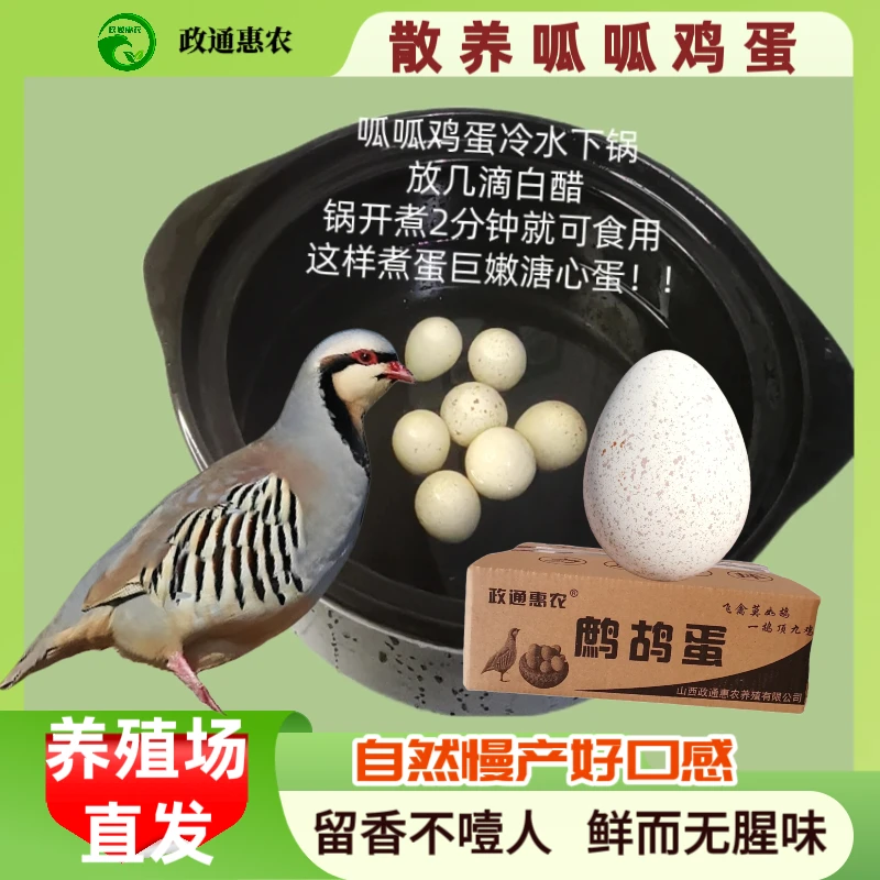 政通惠农呱呱鸡蛋农家散养30枚/团购新鲜生态散养走亲访友礼
