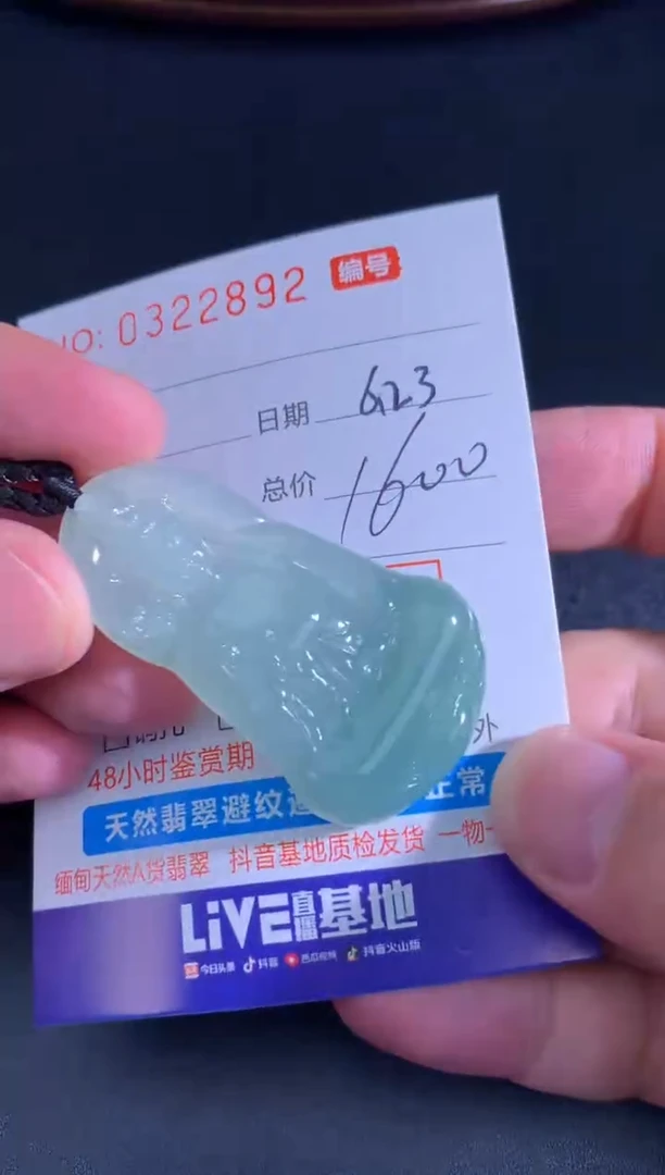 翡翠未镶嵌颈饰天然A货翡翠