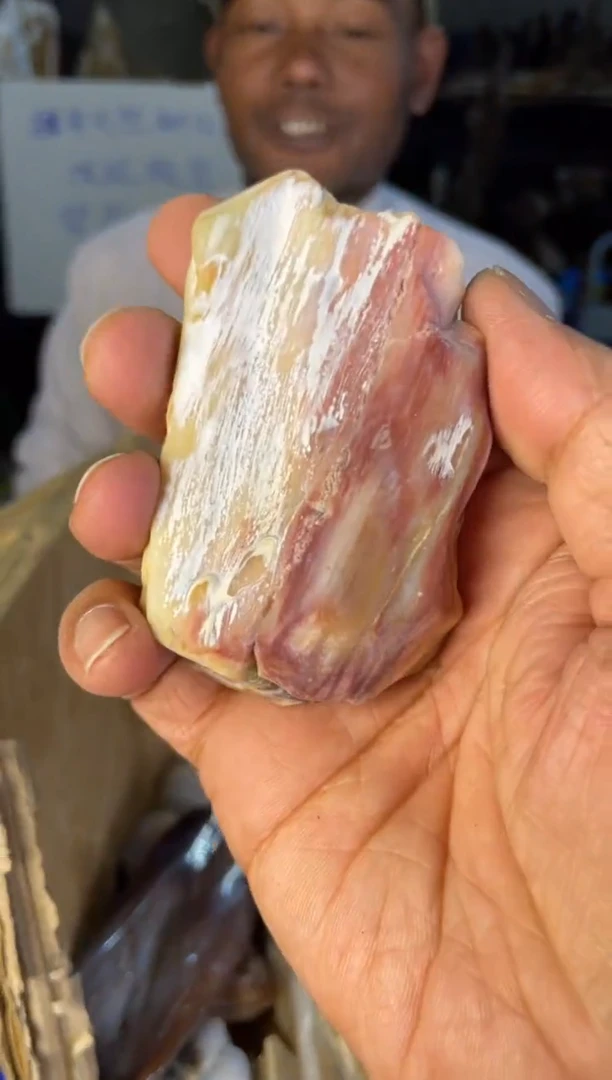 未镶嵌手把硅化玉10