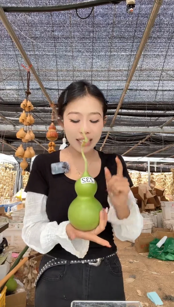 232天然葫芦摆件 一物一拍龙头不保售后