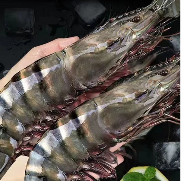 精选黑虎虾3斤20个头鲜活速冻大虾斑节虾肉质鲜美