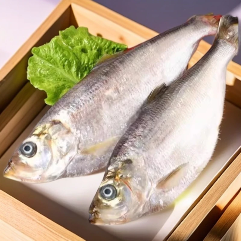 正旺顺冷冻冰鲜二去勒鱼500g*2条