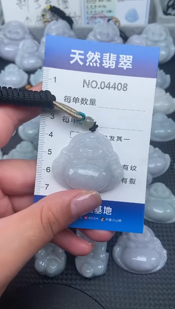 颈饰未镶嵌翡翠纯天然A货翡翠4408