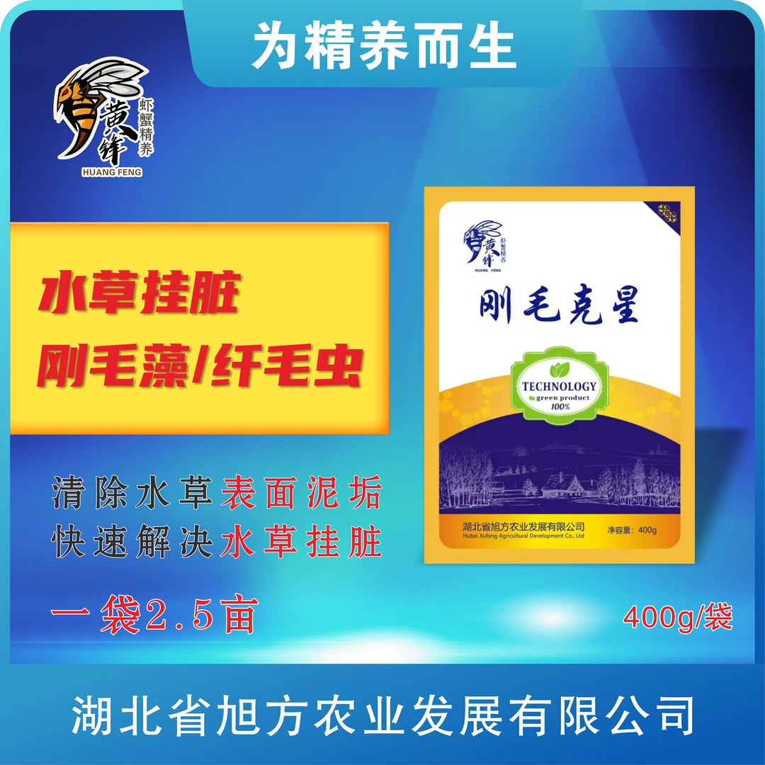 刚毛克星 刚毛藻 纤毛虫 水草挂脏 轮叶黑藻