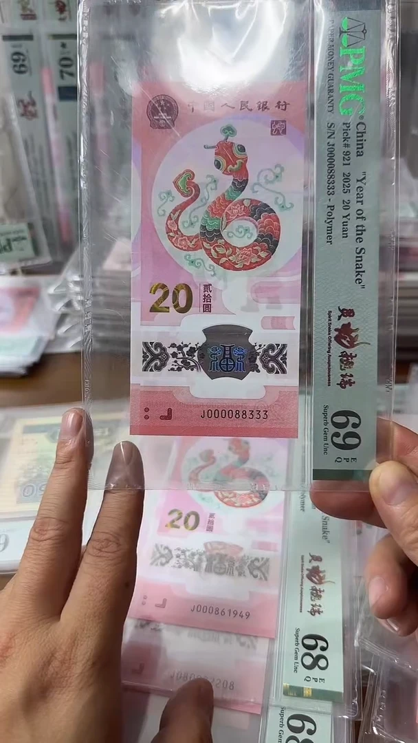 塑料000088333蛇钞69分