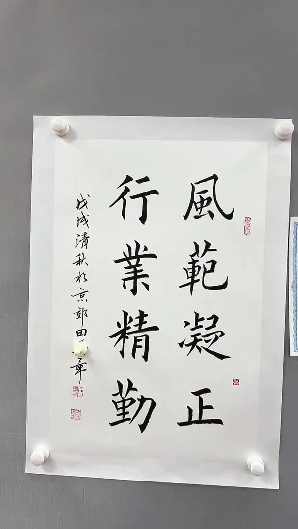 【闪购商品】书法雅艺典藏文化书法