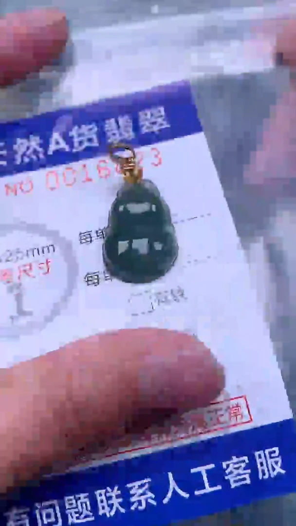 翡翠未镶嵌吊坠(不含链)1