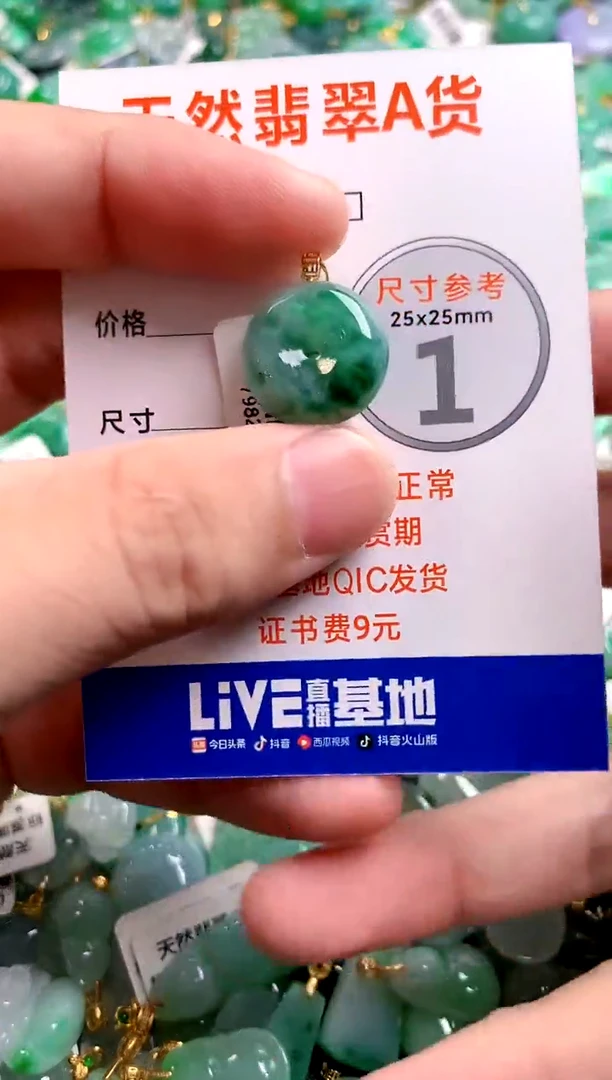 颈饰18K金镶嵌翡翠0197712319