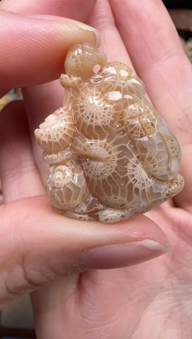 颈饰未镶嵌硅化珊瑚（珊瑚玉）379