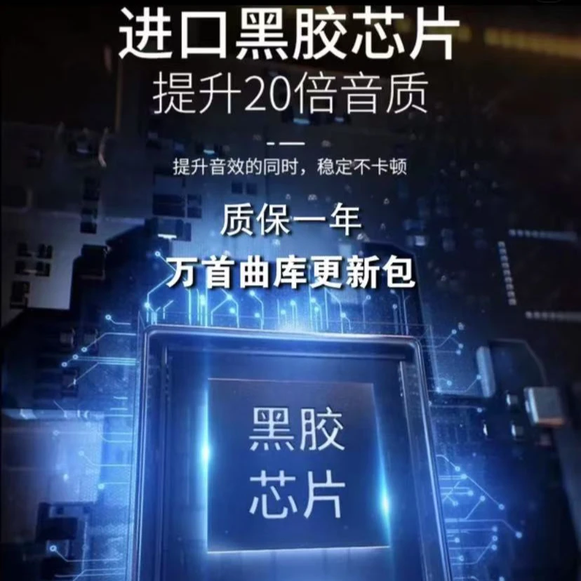 私人定制全视频音乐黑胶芯片