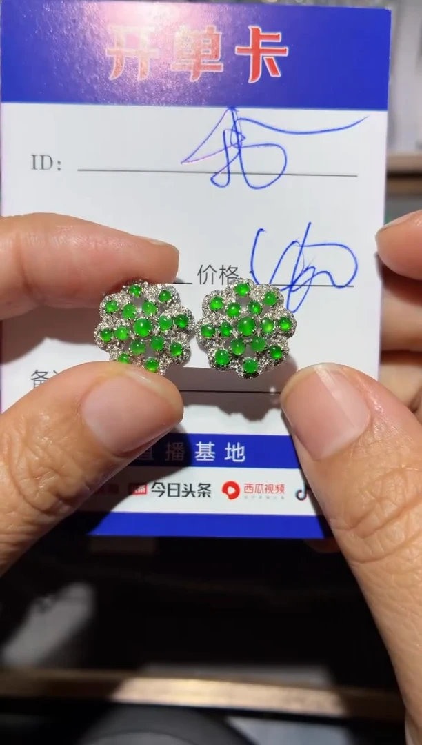 银S925镶嵌翡翠耳饰我****学我不想去上学