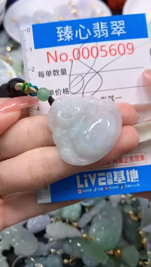 翡翠未镶嵌颈饰5609