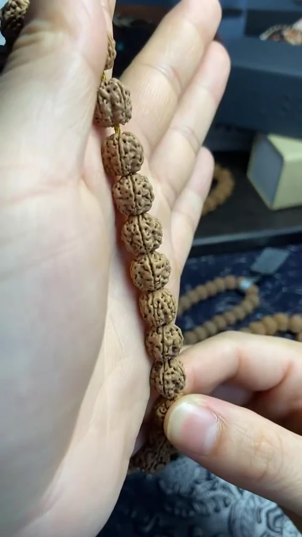 手串金刚菩提一代龙10