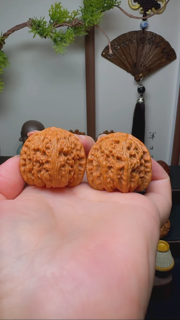 文玩核桃把件白狮子货头 边37 狮子头