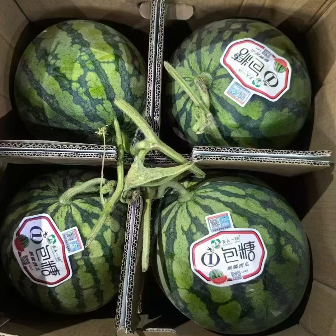 【嘎嘎甜】一包糖大西瓜，清凉爽口
