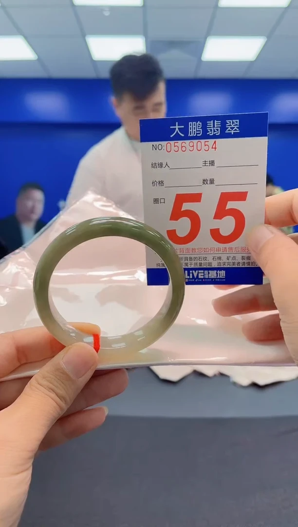 未镶嵌手镯翡翠AAAAAAAAA